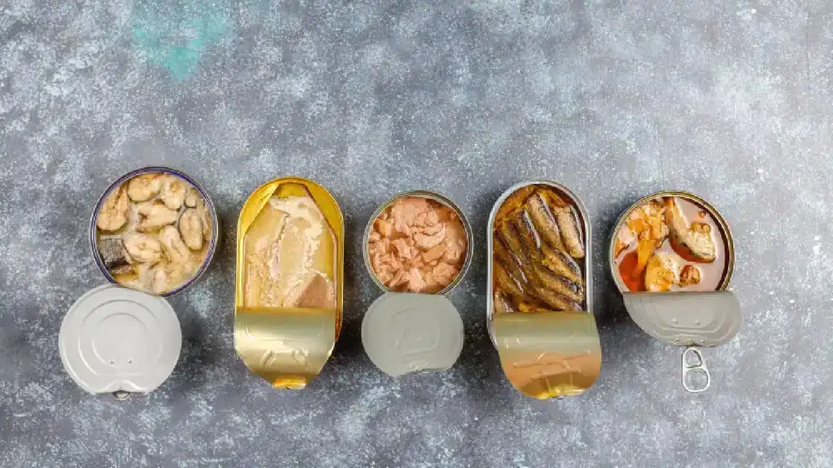 Alte Lachs‑Konserven bringen neue Erkenntnisse über marine Ökosysteme