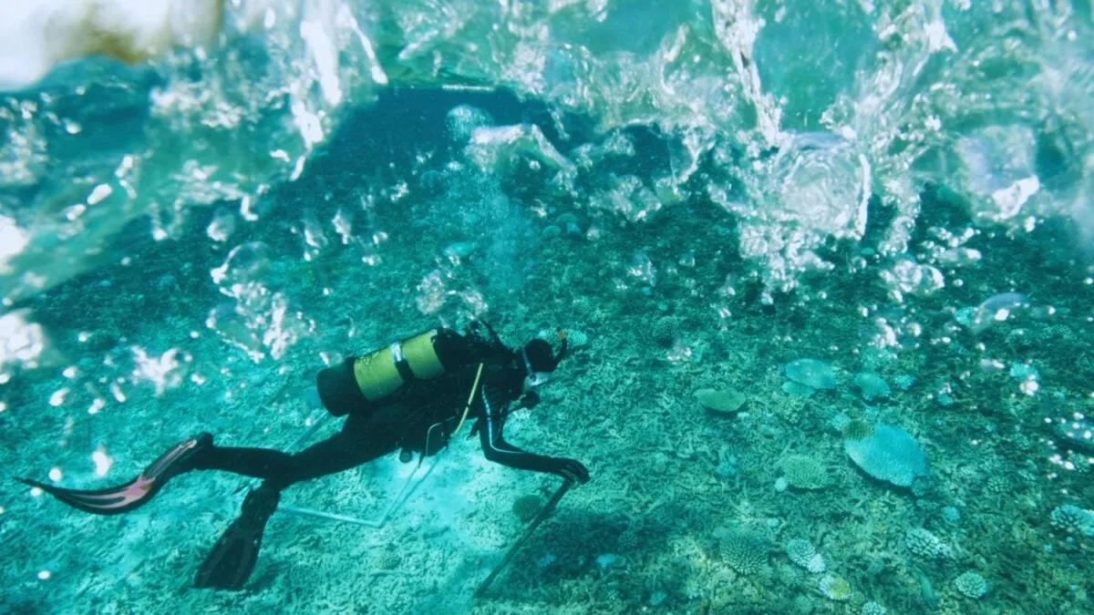 Großer Fund vor Alexandria, Ägypten: Der Leuchtturm taucht wieder auf